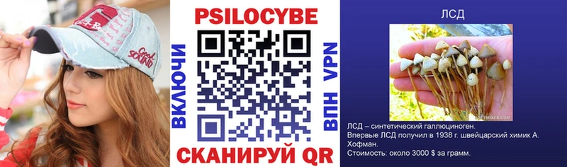 Купить закладки  Калязин  Галлюциногенные грибы Magic Shrooms 
